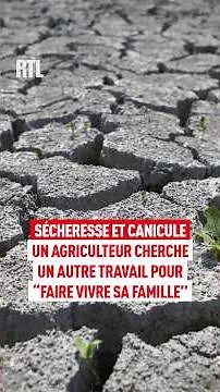Drought and Heatwave: A farmer looks for a second job to "provide for his family"