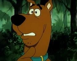 Scooby-Doo and the Ghoul School (TV Movie 1988) ⭐ 6.8 | Animation, Comedy, Family