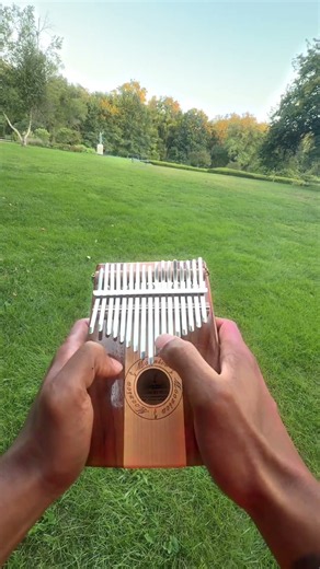 fastest thumbs in the west #music #kalimba