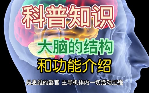 科普丨你了解人脑的结构和功能区域吗？