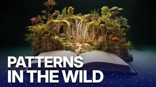 The Secret Life of Chaos | The Math Behind Nature | Ed Y. Li