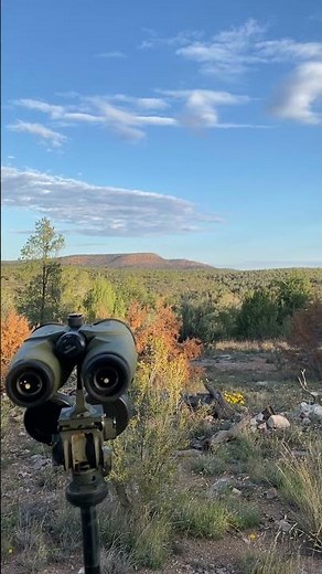 AZ unit 17A rifle cow elk hunt. Oct 9, 2025.