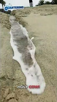 I’m Not Sure He Realized What He’s Done #SandWall #InstantRegret #BeachFail #Funny