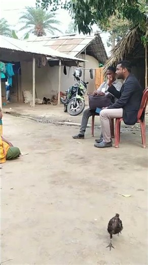 Live highlight সবুজ হেলথ্ ল্যাবরেটরীজ (ইউনানা)| santali cartoon24