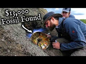 We found a $13,000 Fossil while Ammolite Hunting.