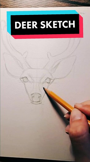 Deer Sketch: Step-by-Step Guide