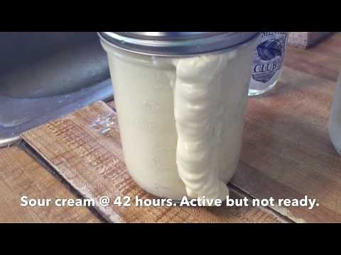 Making Homemade Sour Cream