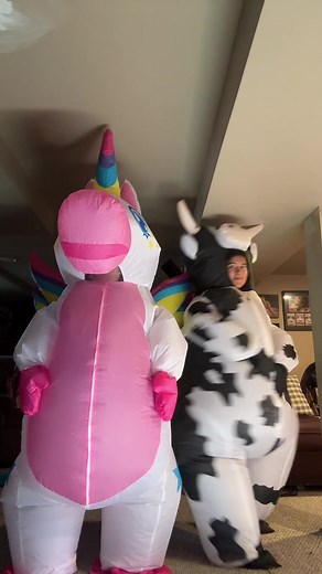 Funny Inflatable Costumes and Their Fun Uses