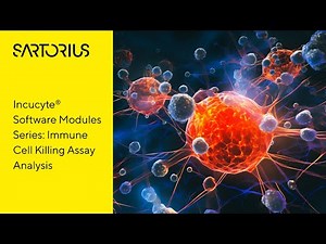 Incucyte® Immune Cell Killing Assay Analysis using the Base Software Module