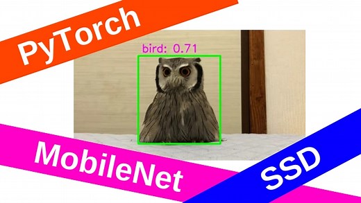 PyTorchでMobileNet SSDによるリアルタイム物体検出｜はやぶさの技術ノート