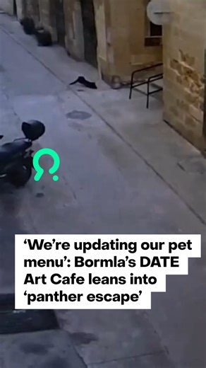 Bormla’s DATE Art Cafe leaned into the panther sighting controversy by joking that it will now update its pet menu. According to Terry Muscat, the panther had passed by the popular cafe shortly after jumping off a nearby rooftop. The police confirmed that it received a report concerning a large cat in the area but no creature has been located yet. As the search goes on, Date Art Cafe has used the controversy as a marketing moment to promote its dog menu. “We’re updating the pet menu. Sometimes l