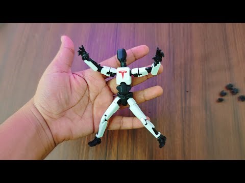 Tesla Bot Dummy 13 Unboxing & Full Assembly Guide