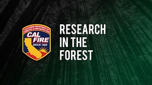 1.2K views · 49 reactions | The historic Caspar Watershed Research...