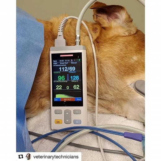 [Hot Item] Digital Portable Veterinary Pulse Oximeter Vet Handheld Capnograph Vital Signs Monitor