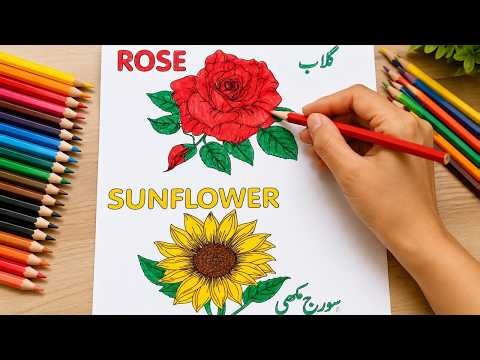 Rose & Sunflower Coloring Page | Easy Flower Drawing for Kids
