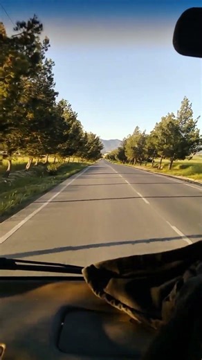 Peaceful Road View in Nature 🌿