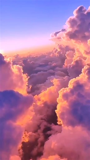 reebee (@reebee990)’s videos with original sound - Will Power 🌌