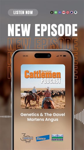 Be sure to check out the Martens Angus Farms website! - https://www.martensangus.com/ Listen to the episode here! - https://americancattlemen.podbean.com/e/martens-angus-farms-25th-anniversary-sale/?token=f0712cb9f92555e45175a61222603cdd A new episode of Genetics & The Gavel, powered by American Cattlemen Media, is here! Don't forget to follow the American Cattlemen so you don't miss a single episode! Thanks for listening. | American Cattlemen