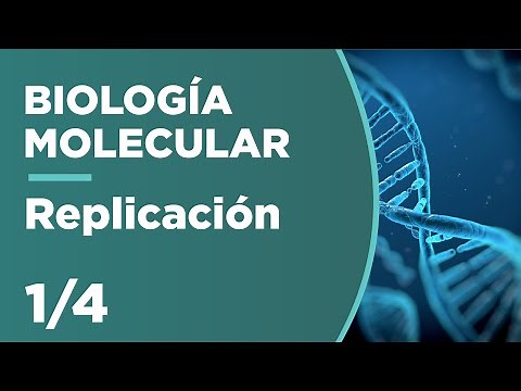 DNA Replication | Molecular Biology 1/4