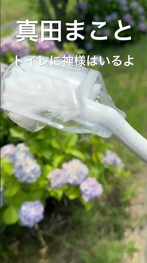 【真田まこと】おトイレの神様に毎日感謝して。これからもおトイレのお水が飲めるくらいにおトイレを磨き続けます。まことくんより #shorts