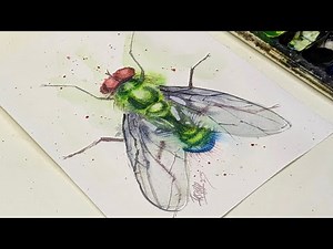 How to Paint a Watercolour Fly | Watercolor Tutorial | Watercolor Tips