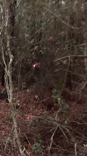 🗣️ Track Preview Time! We’re two sleeps away from kicking off the 2026 inaugural @anecracing season! @brochepler and @cb_121 break down the @betausa pre ride for the @redlineoil Sumter National Enduro! | ANEC- American National Enduro Championship