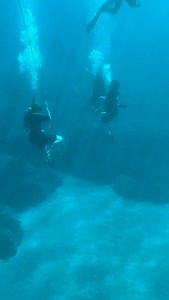 Travel/vacation: Try snuba-diving: a combination of snorkeling and scuba diving. #snubadiving #followers #reelsinstagram #friends #trendingreels #reels #reelsfbシ #reelsfbシ #reelsfbシ #followersinstagram #letsdoitagain | Ron Shimoto Hipolito