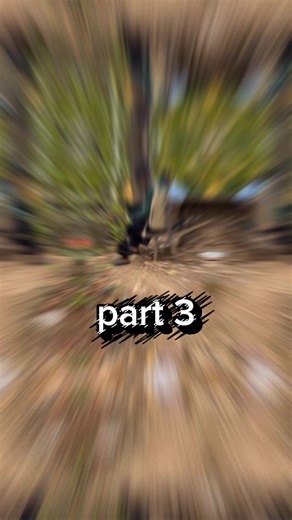 Understanding the Impact of Cultism in Society