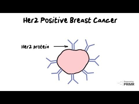 HER2-positive Breast Cancer - How does it work? A doctor explains with simple images.