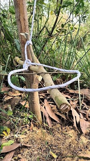 trap #diy#creative#technique#crafts
