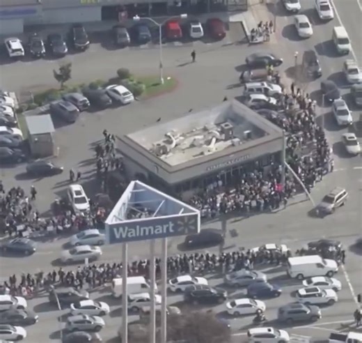 Hundreds of students from six Bay Area high schools have walked out of class in San Leandro, California to protest federal immigration enforcement and the killing of Alex Pretti in Minneapolis. They’ve taken to Hesperian Boulevard and a nearby Starbucks, lining streets with signs and demanding accountability from ICE and federal authorities. This is part of a wave of youth-led activism nationwide responding to the growing controversy over federal immigration operations. | Anonymous Legion