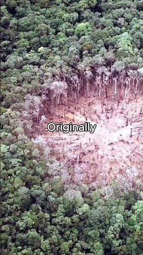 Did the US Really Nuke Iraq? The Daisy Cutter Story