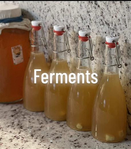 The Ferments have grown… fermented beans, vegetables, and drinks such as water kefir, Kombucha and ginger bug. All homemade by me! #intentionalliving #ferments #kefir #kombucha #gingerbug