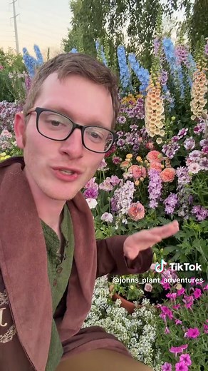 We love our container filled garden 🤭 | Container Gardening
