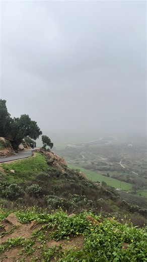 Hiking in the Rain: Tips for an Enjoyable Experience