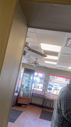 52” harbor breeze classic ceiling fans