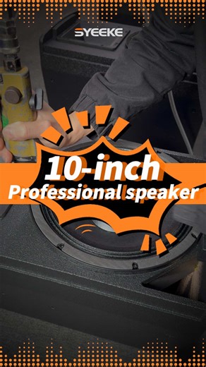 10-Inch Professional Audio Speakers for Factory Line Arrays