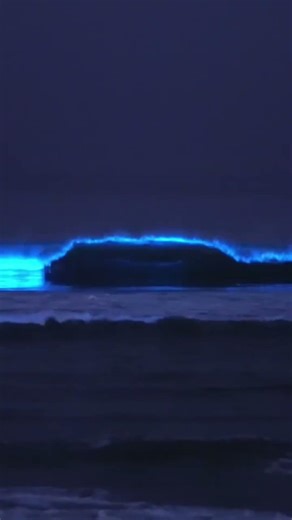 Glowing Sand Beaches ✨ You Won’t Believe!