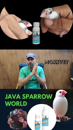 Rehan khan on TikTok