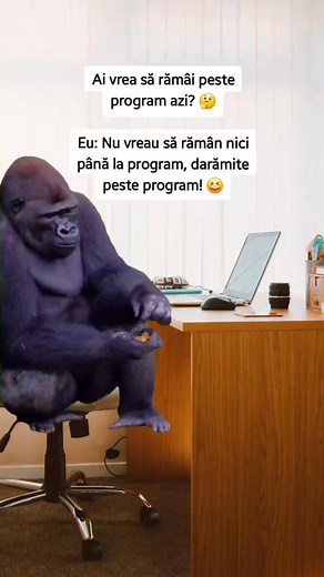 691K views · 6.6K reactions | ➡️ Eu plec înainte de program, nu după! #WorkLife #NuMaiPot | Luci An | Facebook