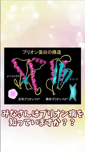 プリオン病について【雑学part3】