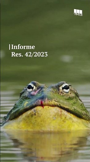 Día Mundial del Medio Ambiente