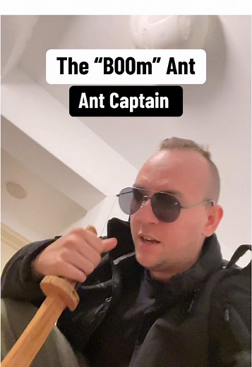 Understanding Ant Behavior: Fascinating Insights