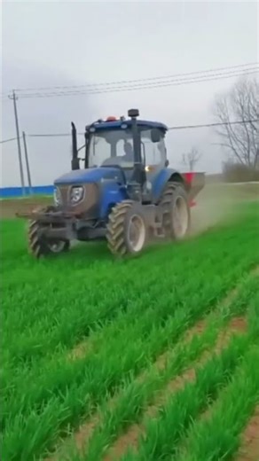 Tractor Mounted Corn PlanteMaize Soybean Seeder Agricultural Seeding Machine