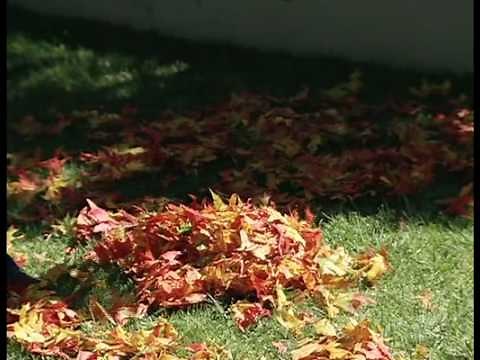 EZ-Rake, Finally, a Pick-Up Rake That Really Works!