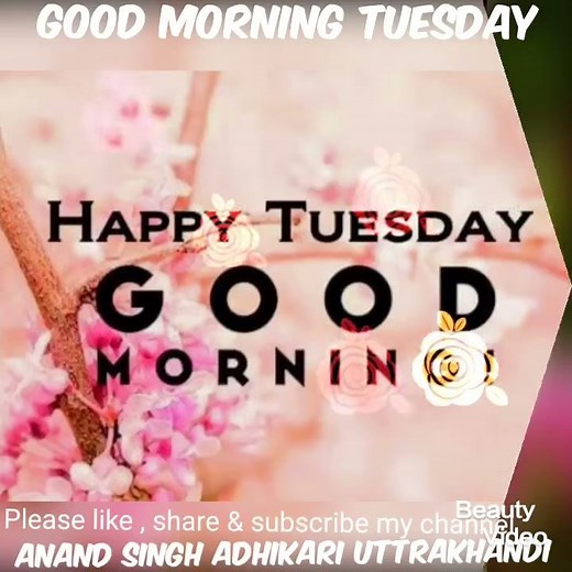 Good morning tuesday images, best good morning images, beautiful flowers images and whatsapp images