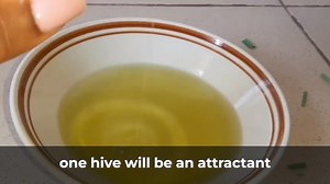 🐝 Unlock the benefits of essential oils for your honey bees! 🌿 Learn how these natural extracts help attract bees, control pests, and maintain a healthy hive in this blog post video written by Ray Civitts. Here's the link to read the post: https://mountainsweethoney.com/how-do-essential-oils-help-our-honey-bees/ | Mountain Sweet Honey Co.