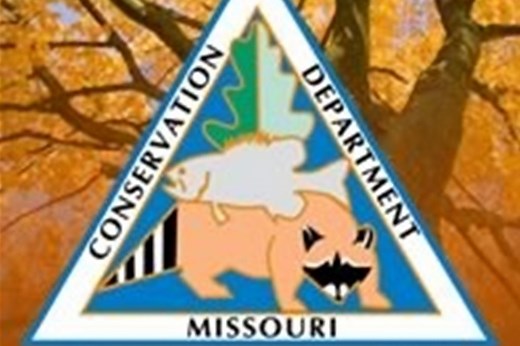 MDC reveals 2026-2027 deer and turkey hunting seasons