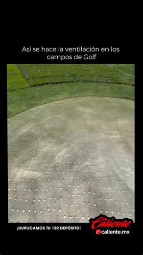 MOMENTO EXPLICADO on Instagram: "La aireación es el proceso de crear pequeños agujeros en el suelo o el césped para permitir que el aire, el agua y los nutrientes lleguen de manera más efectiva a las raíces de las plantas. Reduce la compactación del suelo, promueve un crecimiento más saludable de las raíces, mejora el drenaje y ayuda a que las plantas, como el césped en campos de golf o jardines, se vuelvan más fuertes y resistentes."