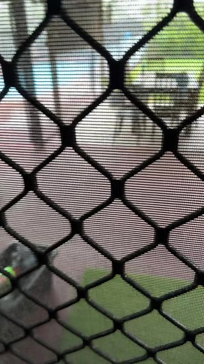 Cyclone Alfred is on his way… #cyclonealfred #queensland #australia #cyclone